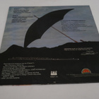 Paul Parker - Too Much To Dream -LP *1983 HI NRG DISCO* - pikkukuva 2
