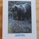 Suomi Finland Metallirahat, 1991 - pikkukuva 5