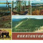 kortti °/** Kuusamo Ruka hiihtohissi - erilaisia - pikkukuva 1