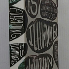 Jonathan Safran Foer - Everything Is Illuminated - pikkukuva 2