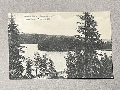 Hämeenlinna, Aulangon järvi 1913 ja 1914