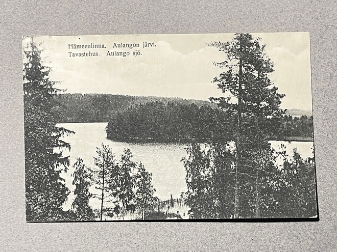 Hämeenlinna, Aulangon järvi 1913 ja 1914