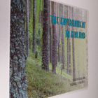 Eeva-Liisa Hallanaro : The environment in Finland : curre... - pikkukuva 1