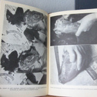 Joka emännän apulainen, Otava 1938. 256 s. - pikkukuva 4