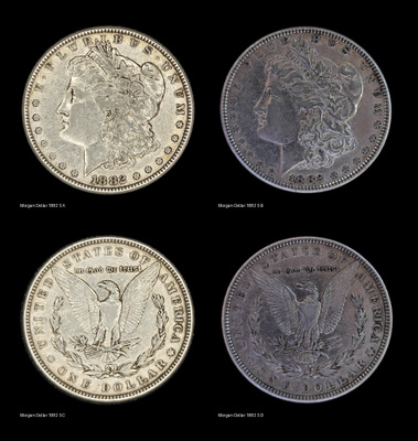 Morgan Dollar 1882