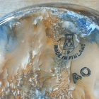 Arabia Loistomarmorikulho 20,5 cm - pikkukuva 4