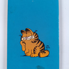 Jim Davis : Garfield the Great Lover - pikkukuva 2