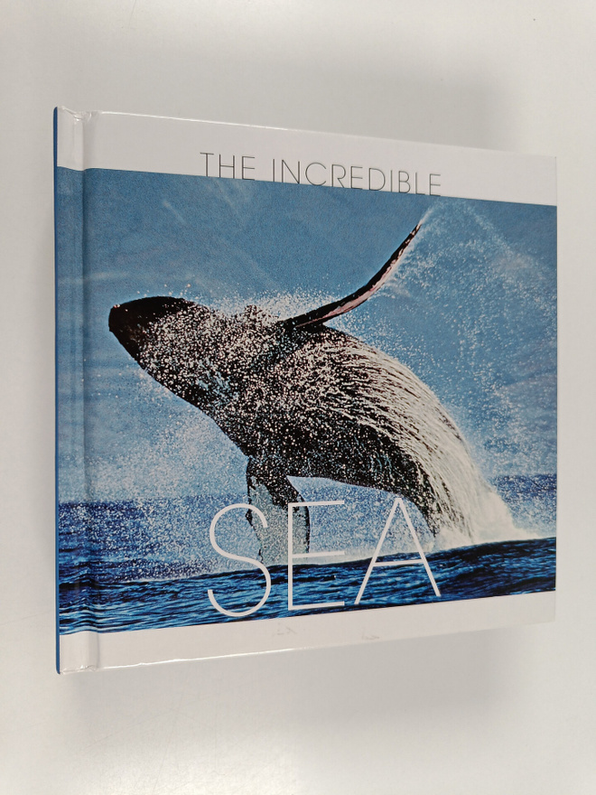 Valeria Manferto : The Incredible Sea