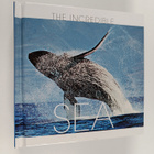 Valeria Manferto : The Incredible Sea - pikkukuva 1