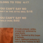 LENNY KRAVITZ - I Belong To You - pikkukuva 3