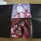 Deborah Harry Brite site 7 45 UK 1989 julistekansi blondie - pikkukuva 2