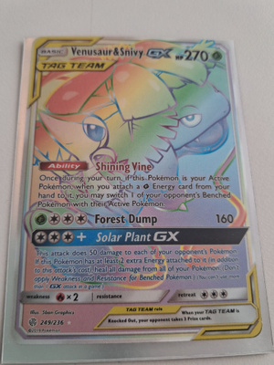 Venusaur & Snivy GX