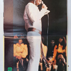 Elvis Presley That's The Way Japanilainen LP OBI SX-61 GF - pikkukuva 3