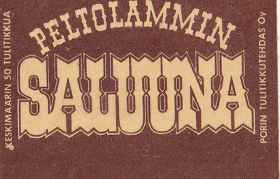Tampere, Peltolammin Saluuna ,  b431