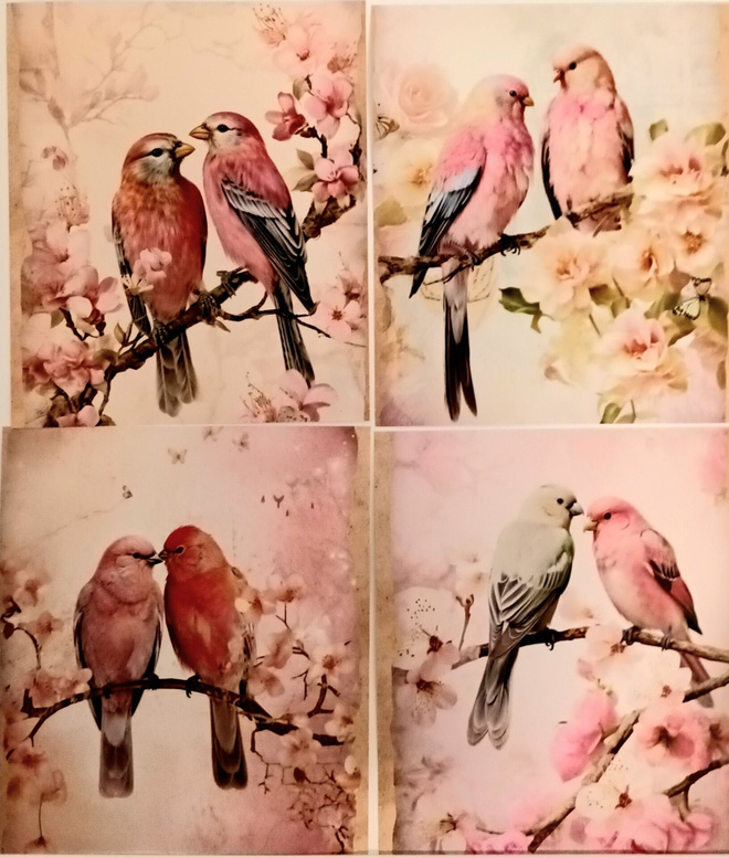 Kuviokartonki LINNUT / 4 kpl -setti / 13 x 15 cm