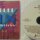Pitbull feat. Chris Brown • Fun PROMO CDr-Single - pikkukuva 2