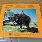 Hugh Masekela I am not afraid LP - pikkukuva 2