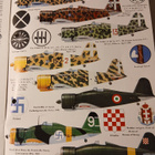Fiat G.50 - pikkukuva 2