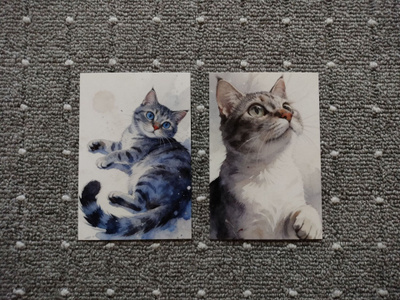 ~Kissa kortti~ 2kpl