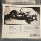 RAPTURE - Songs For The Withering cd (Melodic Death/Gothic M - pikkukuva 2