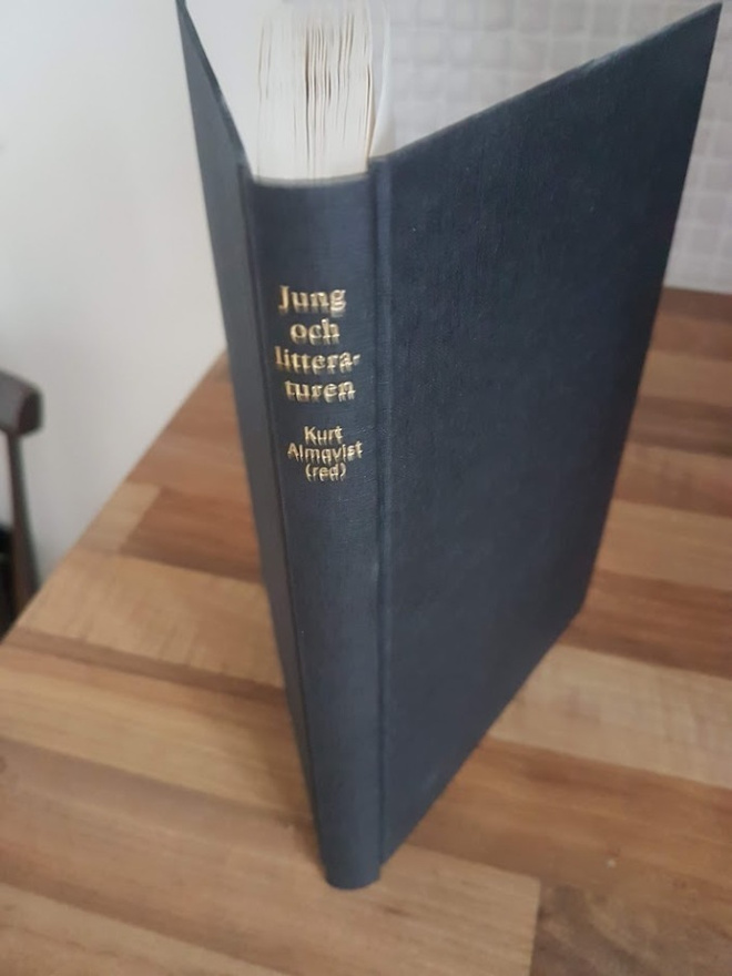 jung och litteraturen