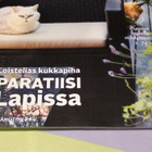 VIHERPIHA-LEHTI 6 / 2016 - pikkukuva 5