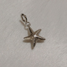 Design Hopeinen riipus, meritähti Hela 925 Starfish Charm - pikkukuva 1