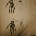 Krantz KINESIOLOGY MANUAL ( 4 p. 1951 USA ) Sis.pk:t - pikkukuva 2