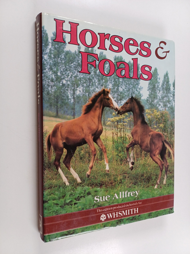 Sue Allfrey : Horses and Foals