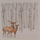 TAUSTA-/KUVIOPAPERIT "Joulu" 15 x 15 cm 3 kpl/setti - pikkukuva 2