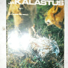 1978 Metsästys ja kalastus -lehti, syyskuu nro 9/1978 - pikkukuva 1