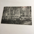 Saarijärvi,Maanviljelyskoulu  kulkenut 1918 - pikkukuva 1