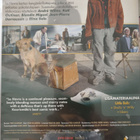 Le Havre DVD - pikkukuva 2