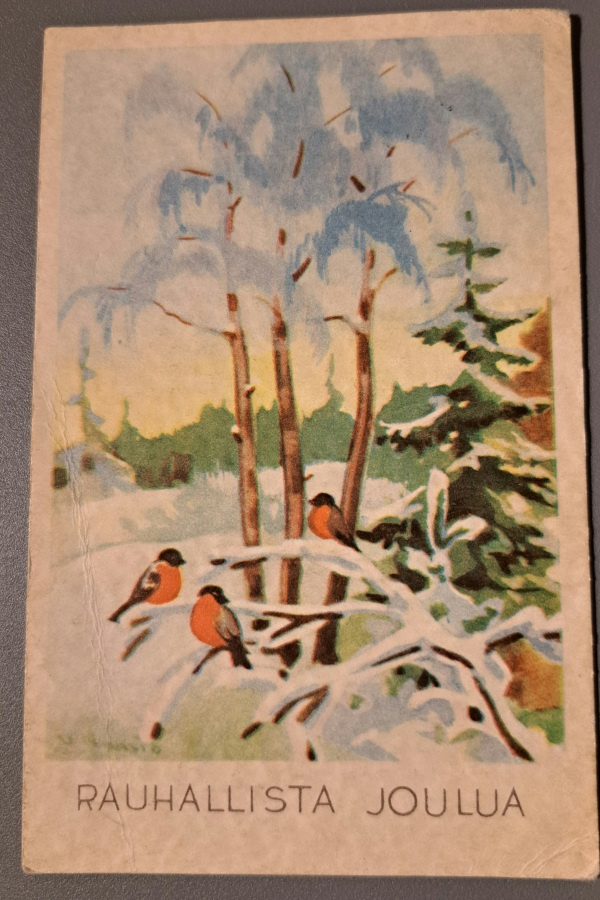 U.Maasio :punatulkkuja oksalla, kulkenut 1945