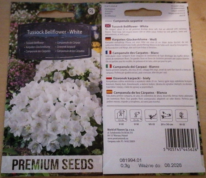 Karpaattienkello 'Tussock Bellflower - White' - siemenet #