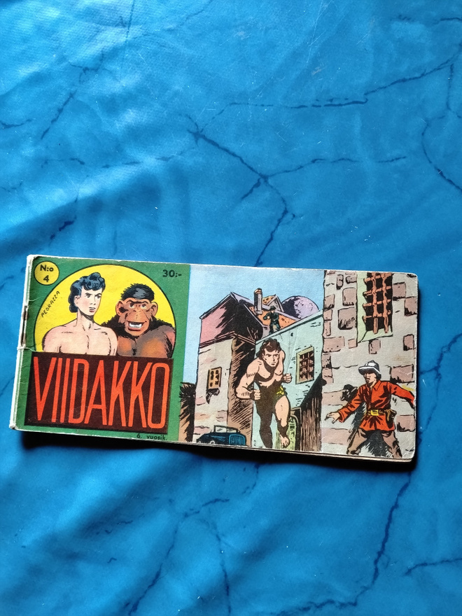 viidakko 6 vsk 4