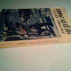 Sauli Jalmari: Metsän poika, v. 1924 - pikkukuva 2