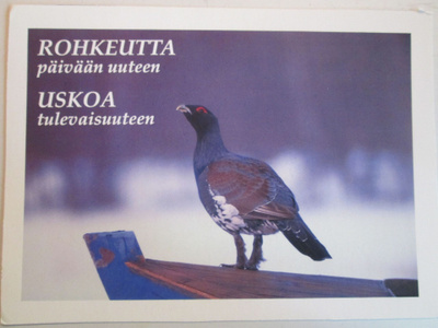 KULKEMATON METSO AIDALLA