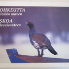KULKEMATON METSO AIDALLA - pikkukuva 1