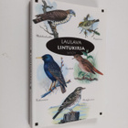 Laulava lintukirja - pikkukuva 1
