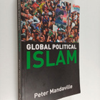 Peter Mandaville : Global political islam - pikkukuva 1