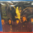IRON MAIDEN - FEAR OF THE DARK UUSI 2LP - pikkukuva 2