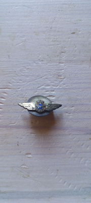 military pin
