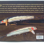 Ottivaappuja vuolemaan - Jormanainen, Rapala 1.p (sid.) - pikkukuva 2