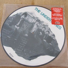 The Undertones The Undertones lp IT 2000 kuvalevy kuin uusi - pikkukuva 1
