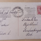 Äiti ja lapsi kirja kädessä joulukuusen äärellä, p. 1915 - pikkukuva 2