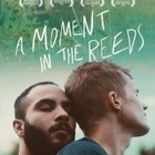 MOMENT IN THE REEDS (33) UUSI -FI- DVD 2017 o:mikko mäkelä - pikkukuva 2