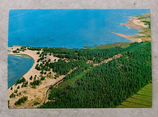 Oulu, Nallikari
