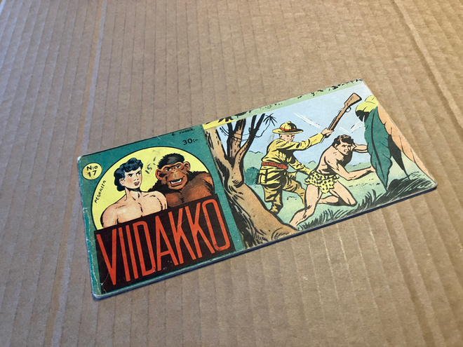 VIIDAKKO LIUSKA 17/1960
