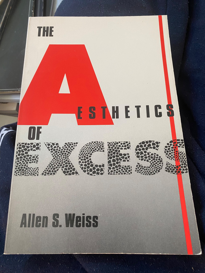 The Aesthetics of Excess - Allen S. Weiss